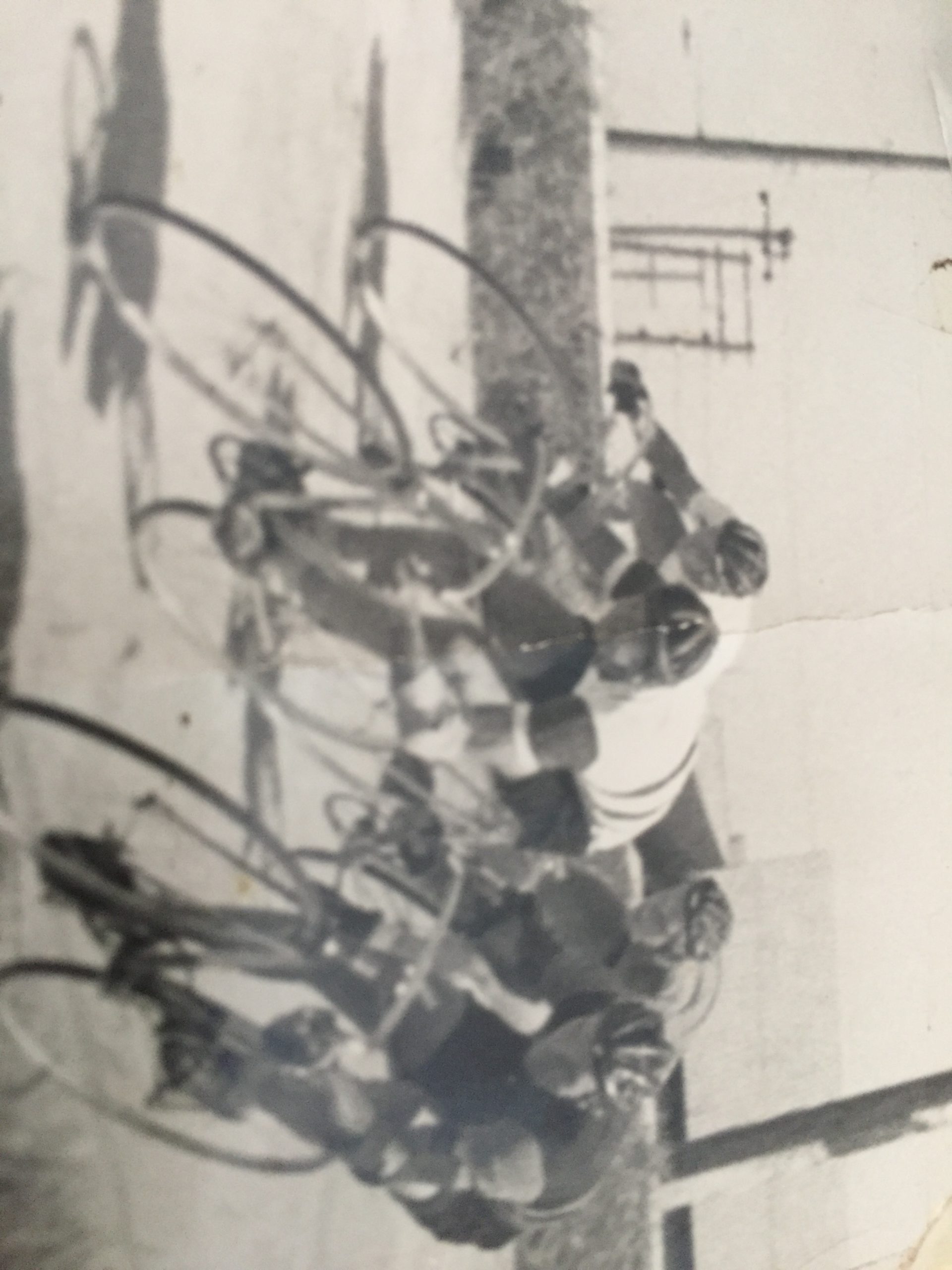 Illawarra Cycle Club The Ken Dinnerville Story A life cut too Short